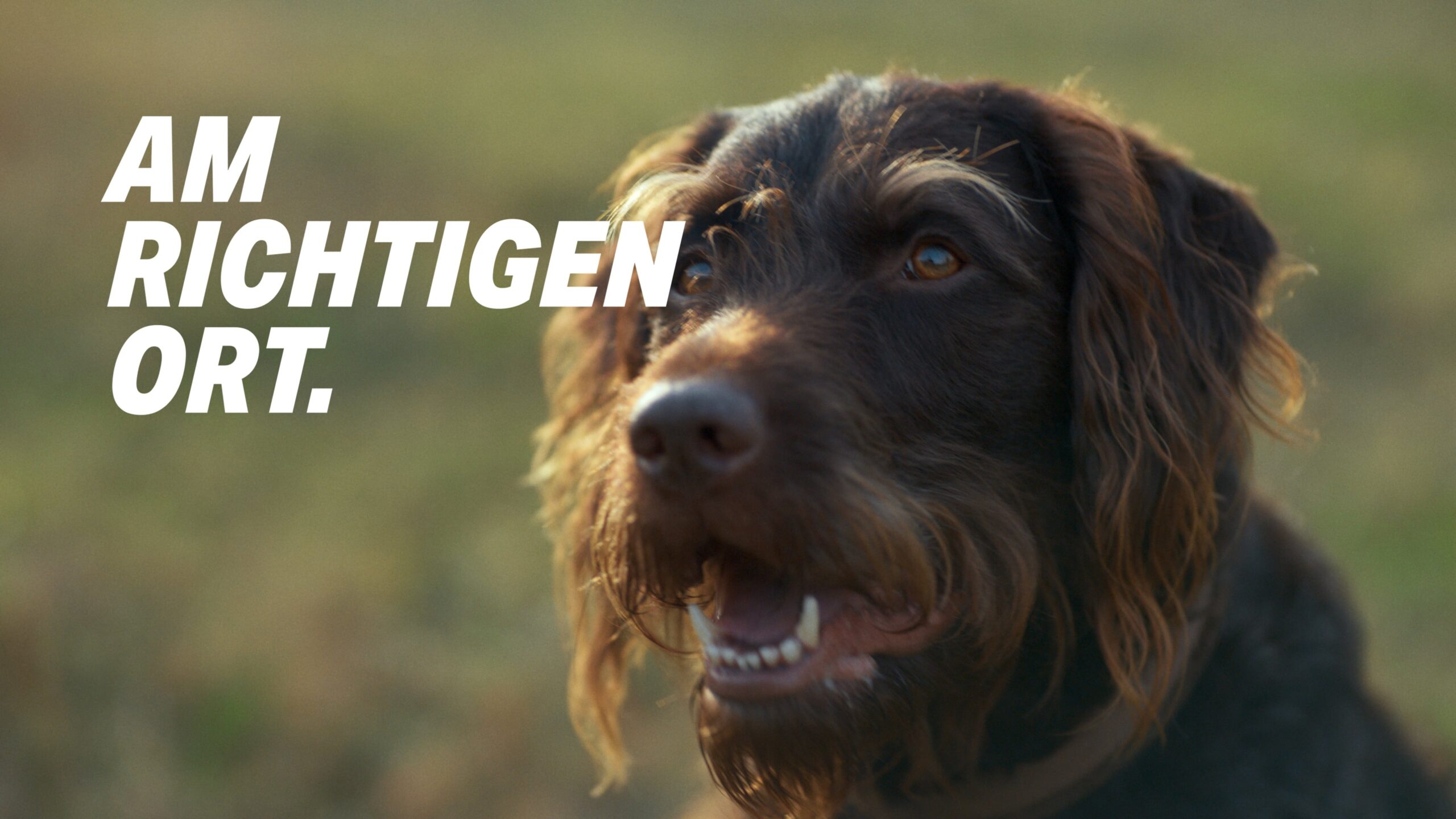 Arbeitgeber Land Hessen